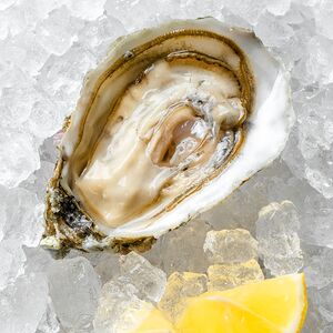 Устрица Жилардо