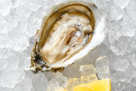 Устрица Жилардо