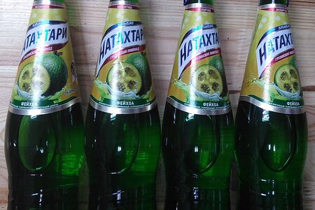 Натахтари фейхоа