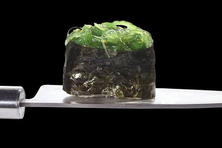 Гункан чука