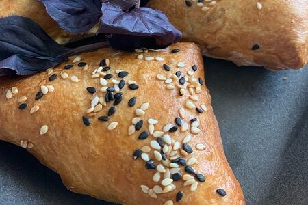 Самса домашняя