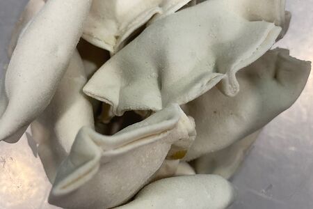 Пельмени Грибоедов 