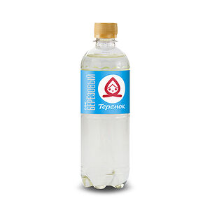 Сок берёзовый 0,5 л в бутылке