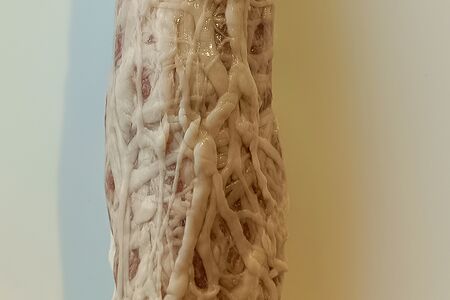 Люля-кебаб из свинины и говядины