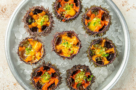 Морские ежи с перепелиным желтком и соусом понзу средние