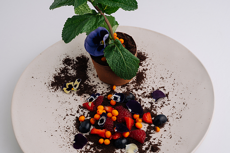 Цветок семифредо