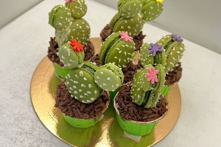 Капкейк колючий кактус 6 штук