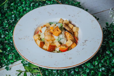 Цезарь с цыплёнком