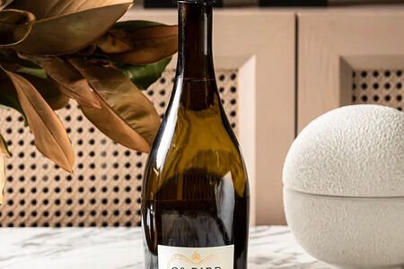 Prosecco Extra Dry Oddbird Italy, Veneto