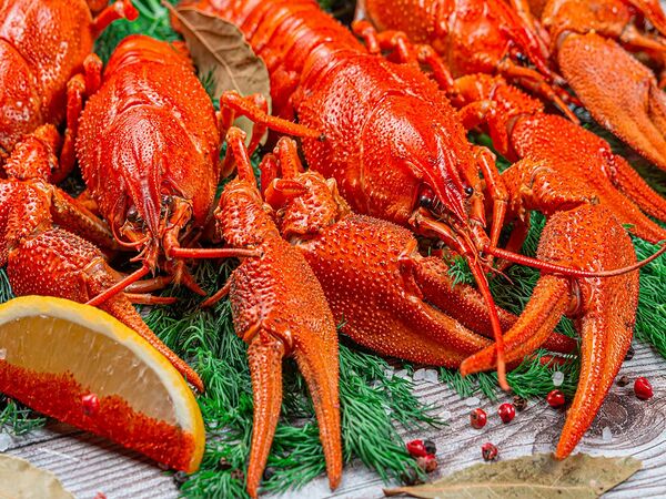 Встреча Раки