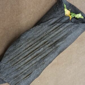 Чикен ролл Терияки