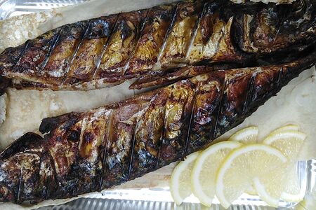 Шашлык из скумбрия