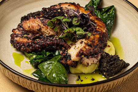 Осьминог гриль с картофельным пюре