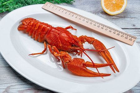 Раки севанские №7