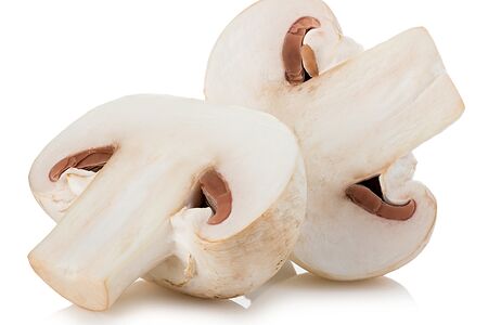 Грибы шампиньоны