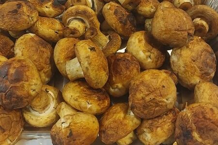 Шампиньоны гриль