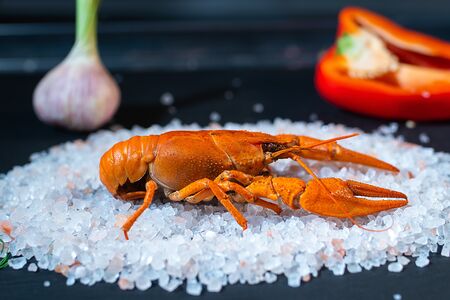 Рак средне-крупный вареный