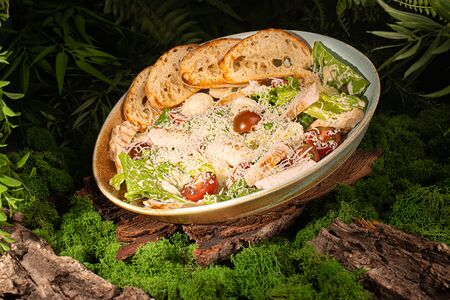 Цезарь с курицей