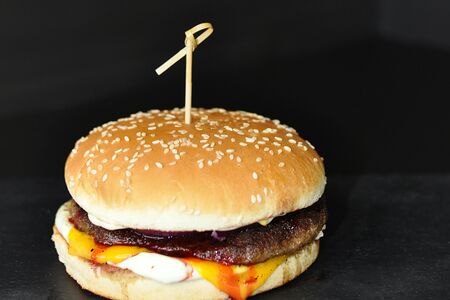 Бургер с олениной