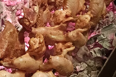 Шашлык из куриной голени