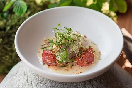 Мурманская треска