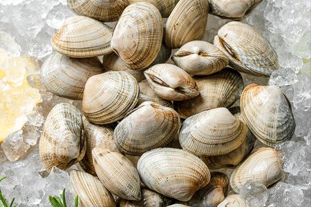 Вонголе живые