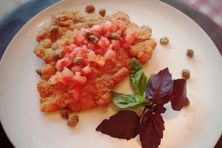 Шницель из цыпленка