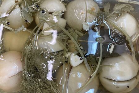 Помидоры зелёные