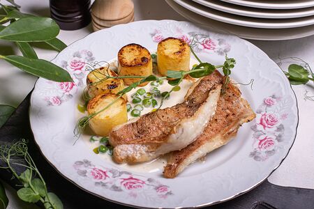 Морской окунь