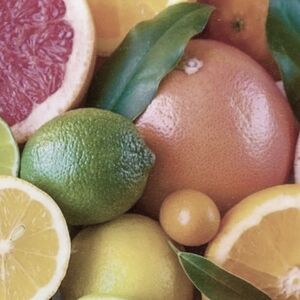 Թարմ քամած ցիտրուսի և նռան հյութ