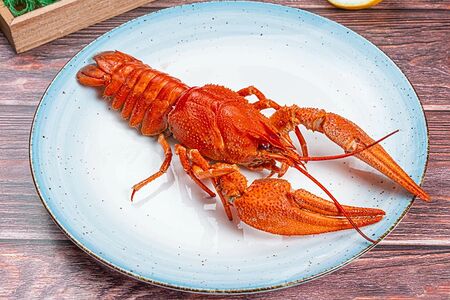 Донские раки №7