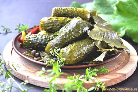 Маринованные огурцы