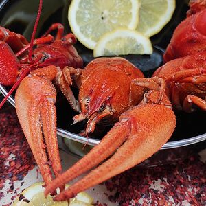 Раки вареные в ароматном бульоне отборные (10-14 шт. в кг.)