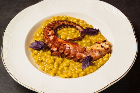 Осьминог с птитимом и соусом песто