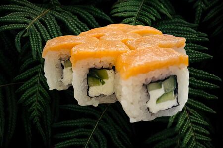 Филадельфия лайт