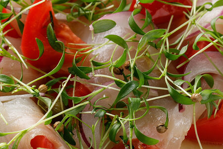 Севиче из сибаса с каперсами, томатами и соусом тайгер милк