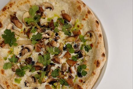 Курица, грибы, сливочный соус