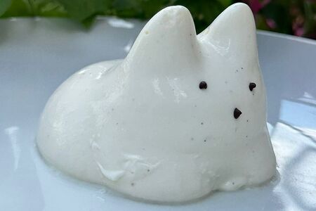 Панна котик