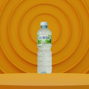 Вода Сенежская без газа