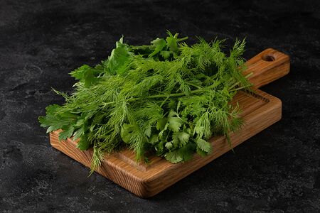 Свежая зелень