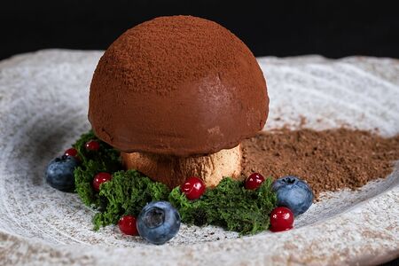 Воздушное суфле с ванильным ароматом и с шоколадно-ореховым пралине в форме гриба Боровика