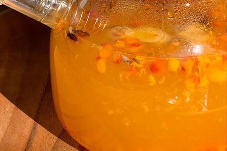 Облепиховый заряд