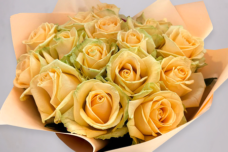 Букет из 17 роз Пич Аваланж