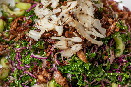 Салат с хрустящей уткой и красной капустой