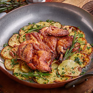 Цыпленок Хит