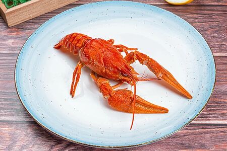 Раки Донские №6