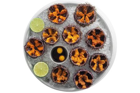 Морские ежи