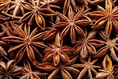 Бадьян звездчатый целый