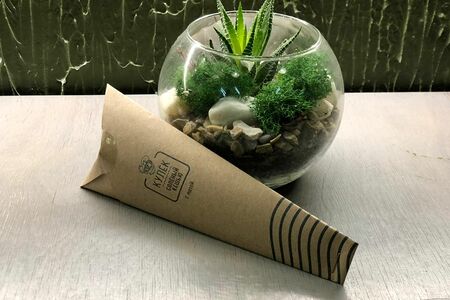 Кулек Соленый Кешью