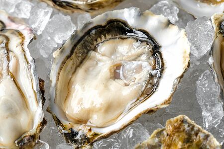 Устрица Муроцу